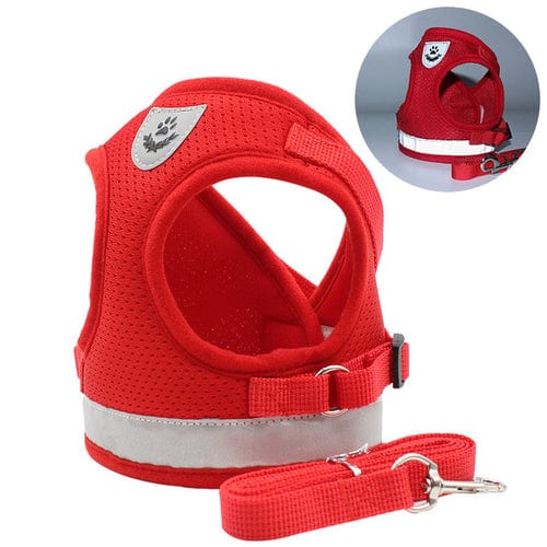 CozyCat Pet Harness and Leash